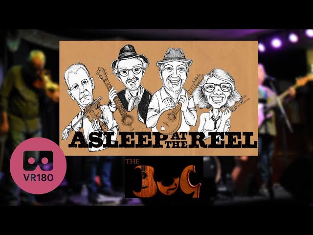 Asleep at the Reel live at the Bug - in Virtual Reality