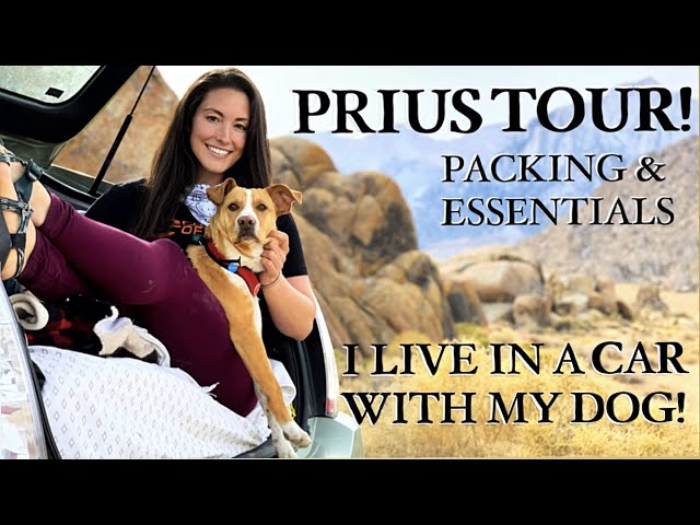 PRIUS TOUR! Year 2, LIVING in a CAR with a DOG: How to, Packing & Essentials!