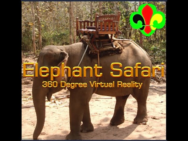 MUST WATCH.  Most Amazing Drone View 360 degree Elephant Safari in India