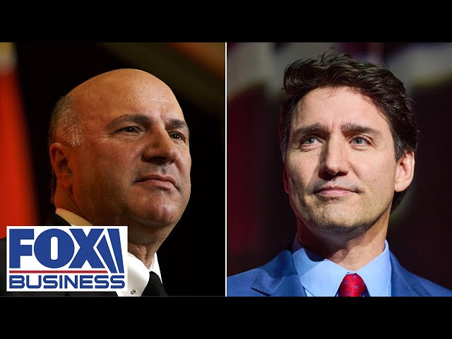 'GONE BEYOND PISSED OFF': Trudeau will be wiped off face of political landscape, O'Leary says