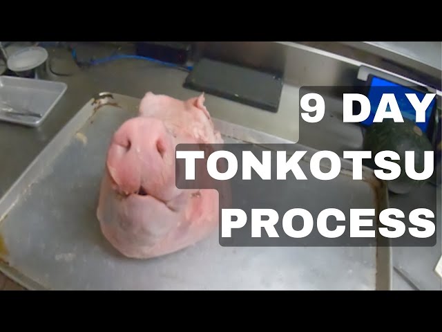 9 day process of my Tonkotsu broth