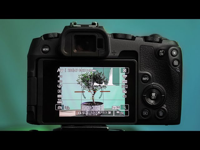 Canon EOS RP - BEST Camera Settings For Photography