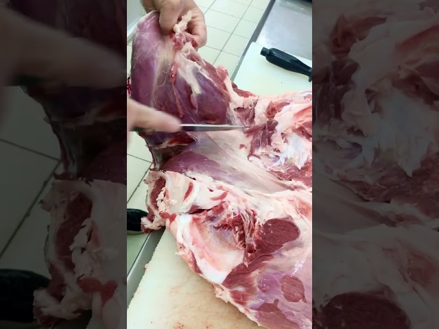 ‏تفصيلي‏ ‏‏الفخذ🥩🥩🥩