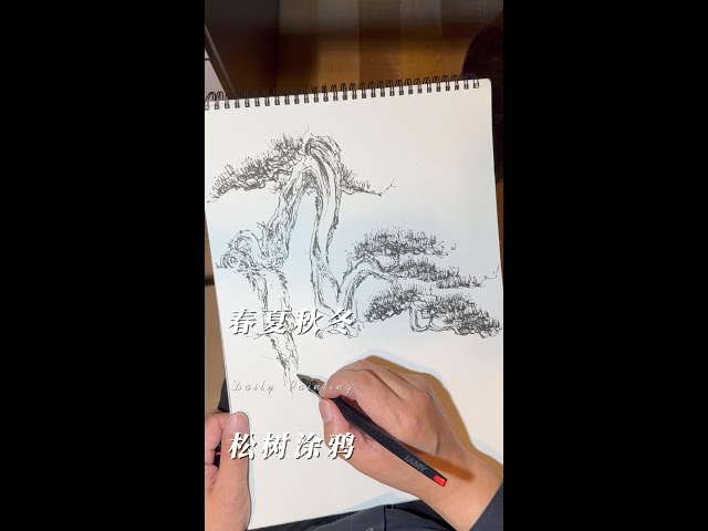 如何画日本松树？How to Draw a Japanese Pine Tree