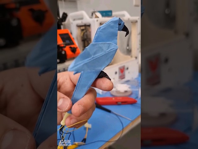 Magnetic Origami Parrot 🦜🧲