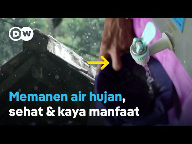 Enggak lagi beli galon, kini air hujan bisa diminum! Inikah solusi melawan krisis air? | DW Inovator