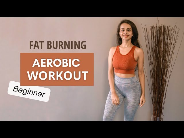 Fat Burning AEROBIC WORKOUT | Maximum Calorie Burn | Beginner Level