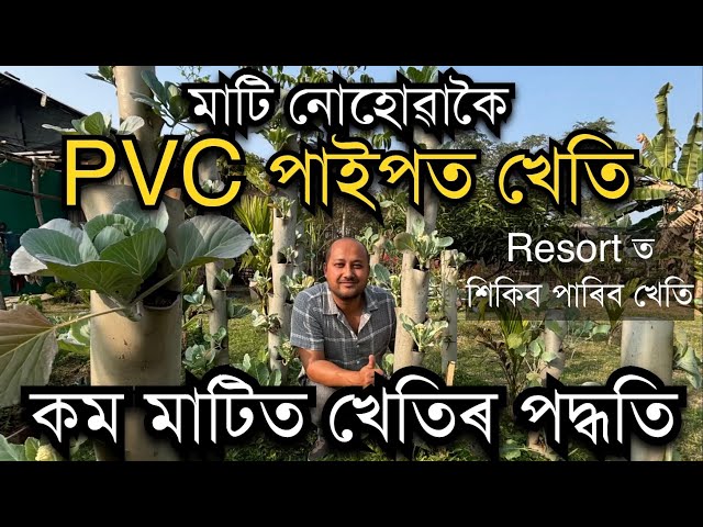 মাটি নোহোৱাকৈ PVC পাইপত খেতি No soil Farming The Backwoods Resort II Vertical Farming in Assam II