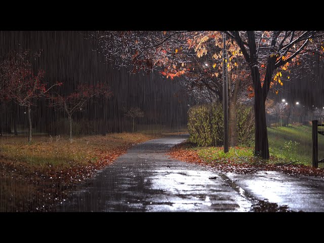 Fall into deep sleep immediately with the pleasant rain sound to relieve insomnia on rain at night