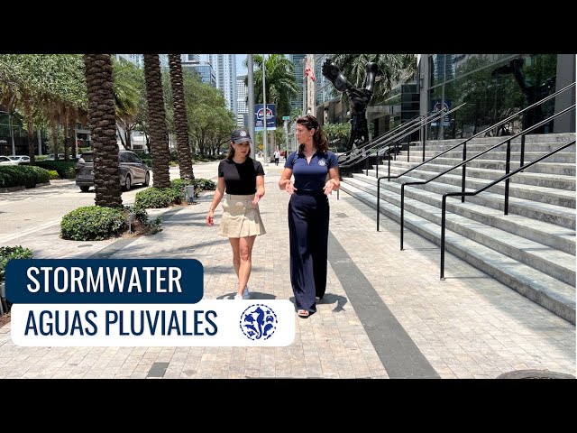 Aguamigos | Stormwater | Aguas Pluviales Ep6