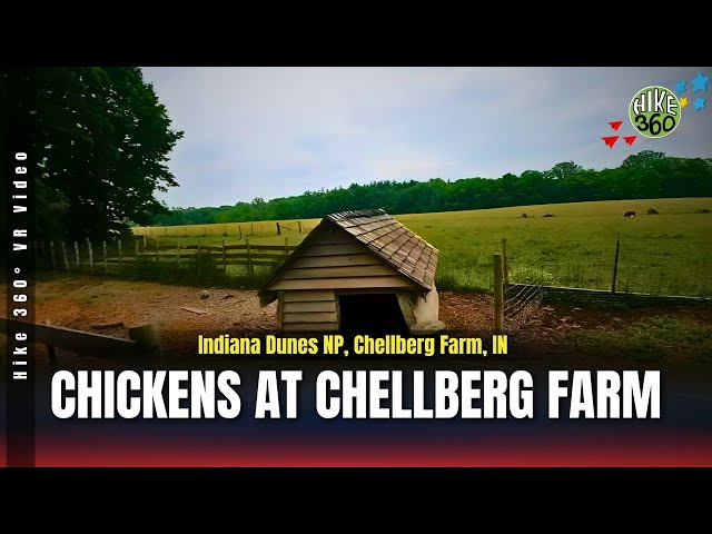 Indiana Dunes NP, Chellberg Farm, IN - Chickens at Chellberg Farm (Hike 360° VR Video)