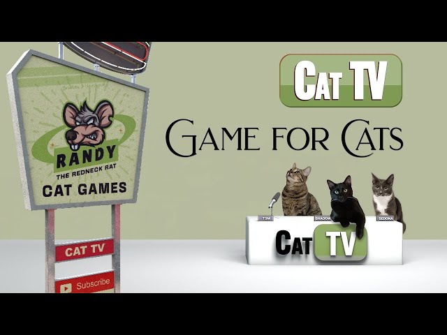 CAT Games TV | Randy the Redneck Rat | Realistic Rat Game for Cats  | 3D Video for Cats to Watch