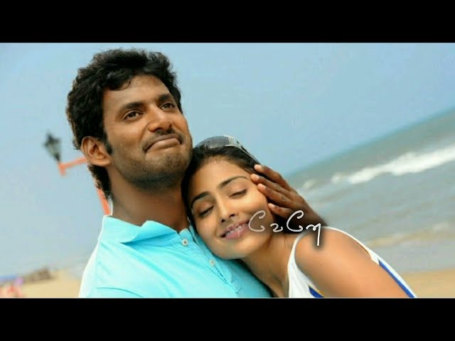 England raanikka India vil kalyanam💖 Vaa chellam | Thoranai #trending #vishal #shreya