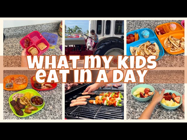 What My Kids Eat in a Day SUMMER 2023 // REAL LIFE Easy Meal Ideas For Toddlers and Picky Eaters 🥕