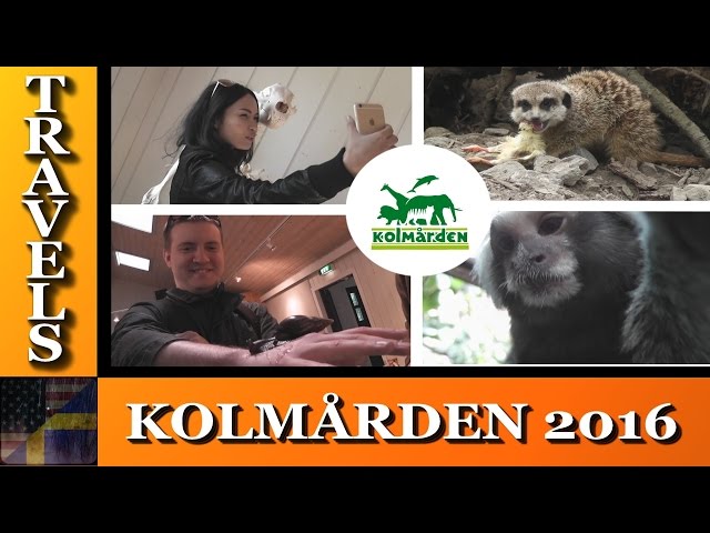 TDG Travels - Kolmårdens Djurpark 2016  - Kamera-apor