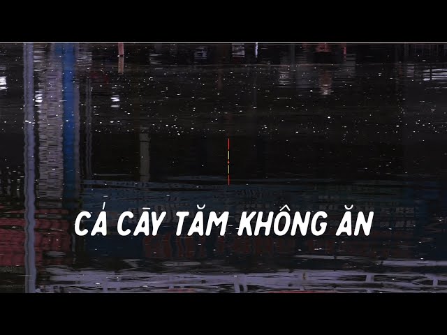 Câu rơi lửng trắm đen