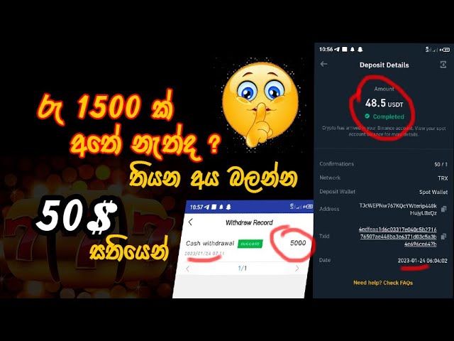 how to earn online money sinhala 2023| 777.in site| ගෙදර ඉන්න ගමන් දවසට 5$ක් ලේසියෙන්ම හොයමු