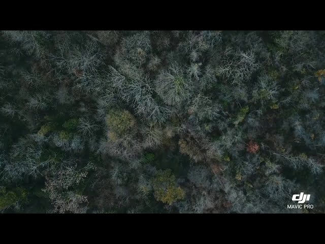 Mavic pro flight