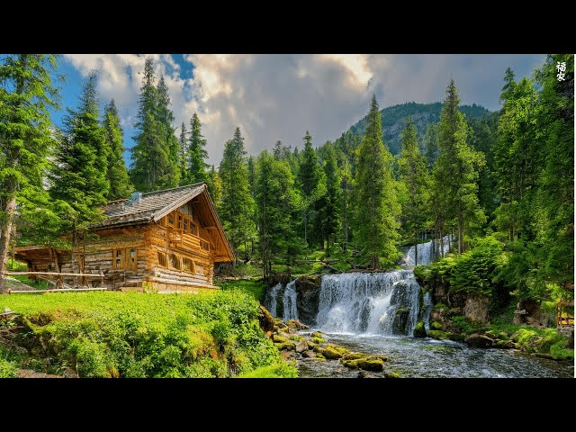 Soothing music 🌿 Relaxing music reduces stress and prevents overthinking.