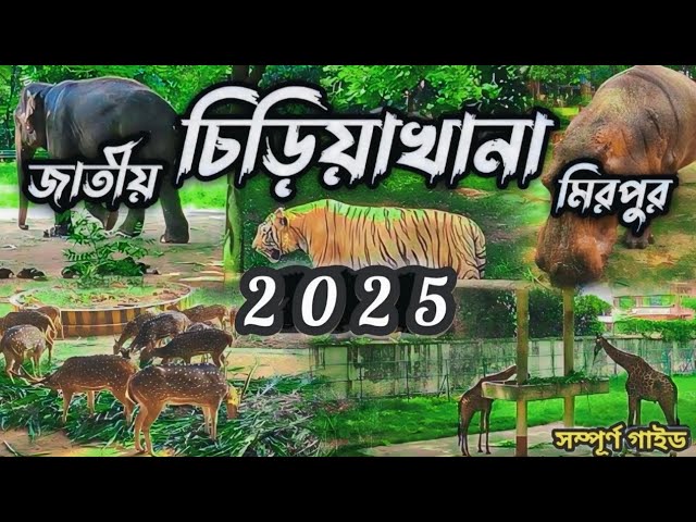 বাংলাদেশ জাতীয় চিড়িয়াখানা, মিরপুর, ঢাকা। Bangladesh National Zoo, Mirpur, Dhaka 2025 🐅🐘🦒🦓🐊🦧