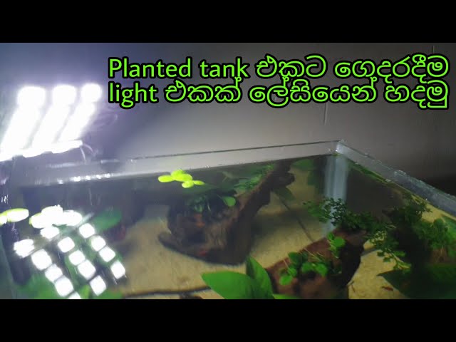 Easy aquarium light at home, DIY light