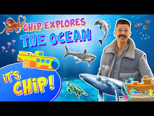 Chip Explores the Ocean - Toddler And Preschool Kids Fun Learning