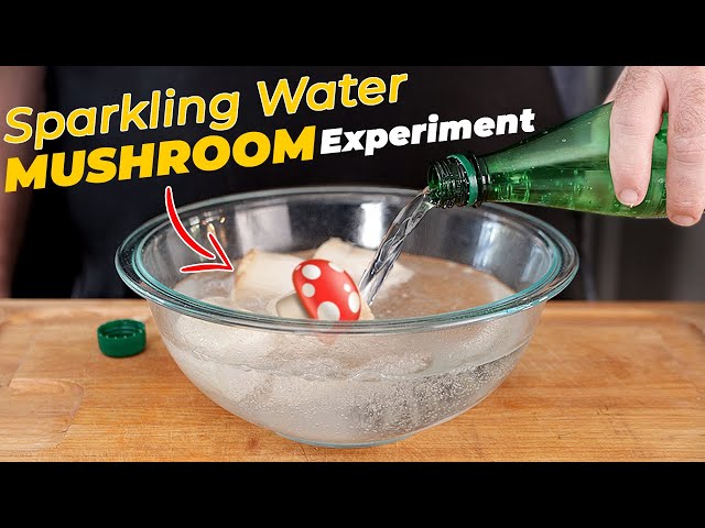 I tried SPARKLING Water on a Mushroom and this happened!