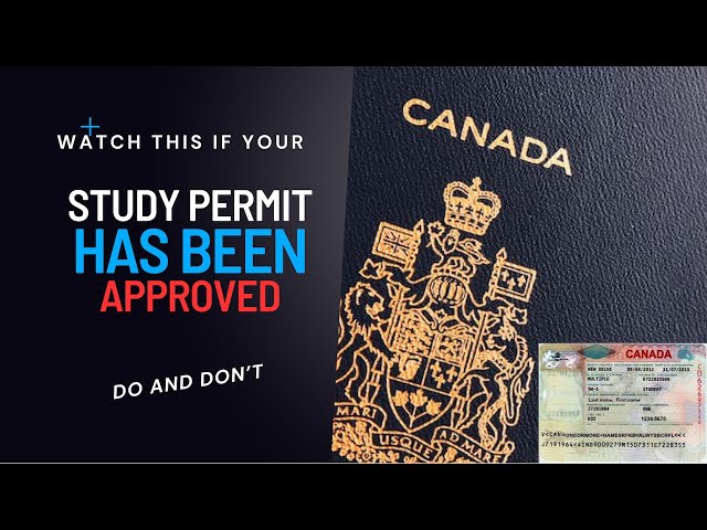 Watch this if your Study Permit in Canada has been approved | Know what you need to take along.