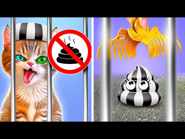 Cat's Sad Story 🥲 Kitty Goes To Jail 😱🐱 *Viral Gadgets And Crafts To Escape Prison*