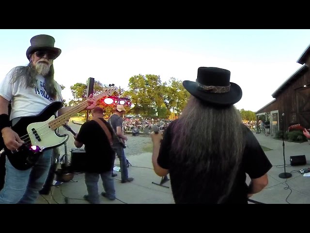 Workin’ For MCA cover by Lone Star Skynyrd