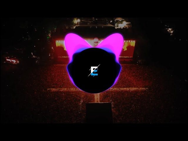 Without You (David Guetta ft. Usher) vs Hurricane (Martin Garrix & Sentinel feat. Bonn) | Entix