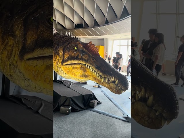 オダイバ恐竜博覧会 (Odaiba Dinosaur Expo 2024) Mar 20th  to May 6th 2024 (20 full-body skeleton specimens)