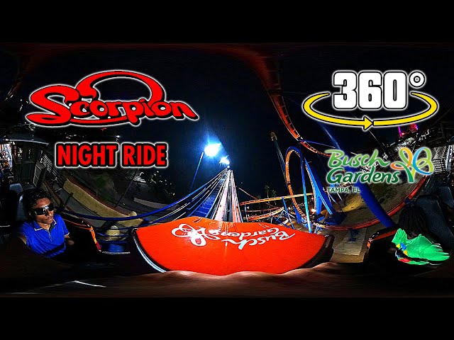 [4K VR 360°] Scorpion - Roller Coaster at Night | Front Row POV | Busch Gardens Tampa Bay