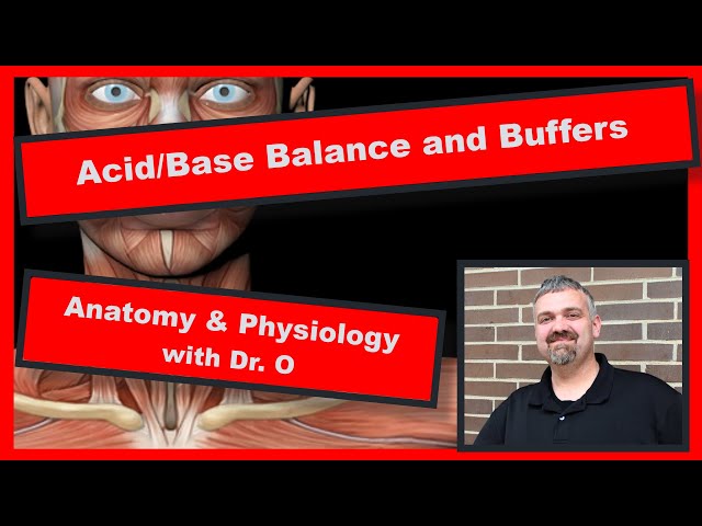 Acid/Base Balance Buffers:  Anatomy and Physiology