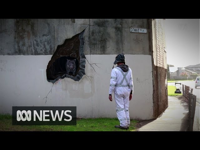 Warrnambool's wombat street art is a happy accident