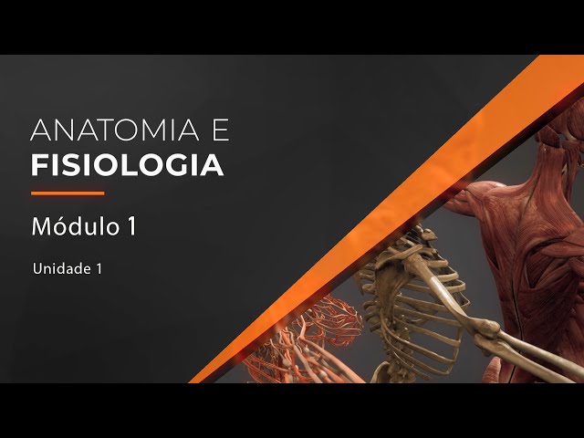 Anatomia e Fisiologia Humana