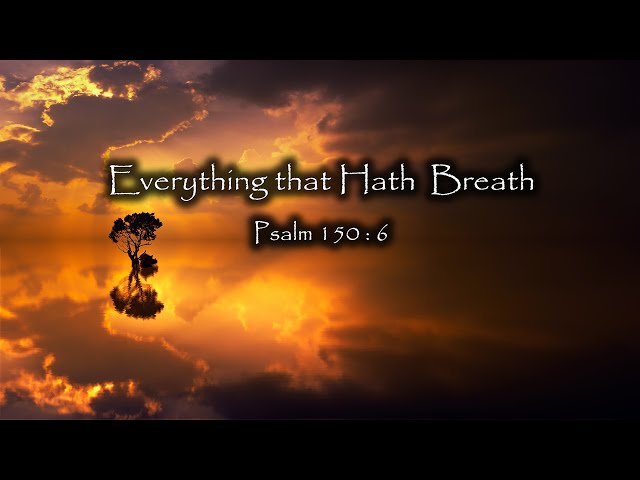 Everything That Hath Breath (Calming Creation Music)