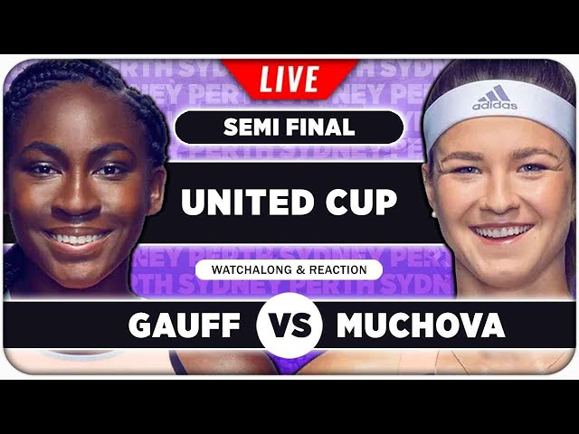 GAUFF vs MUCHOVA • United Cup 2025 SF • LIVE Tennis Watchalong Stream