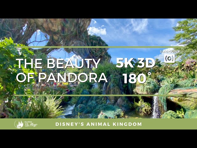 Animal Kingdom's Pandora (5K 3D 180° VR)