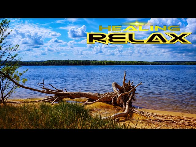 Relaxing Lakeside Ambience for Sleep, Relax, Rest, Study ✧ Soothing Music and Birds Chirping