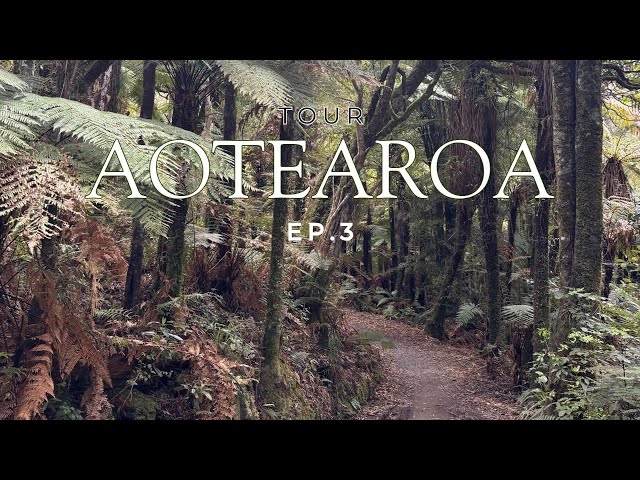 Ep. 3 Cycle Touring Across New Zealand | 28 days on the incredible Tour Aotearoa