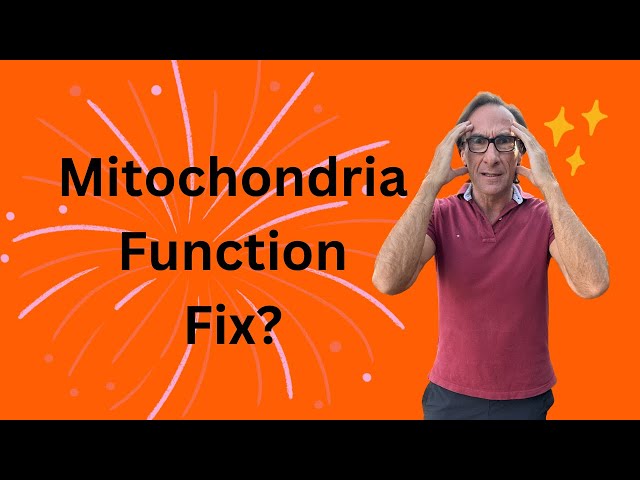 Mitochondria Function Fix