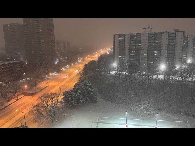 SUNRISE STREAM - Snowfall in Etobicoke