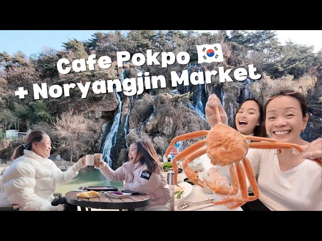 Korea Vlog: Waterfall Cafe and Noryangjin Market Tour and Paluto!   Mommy Haidee Vlogs