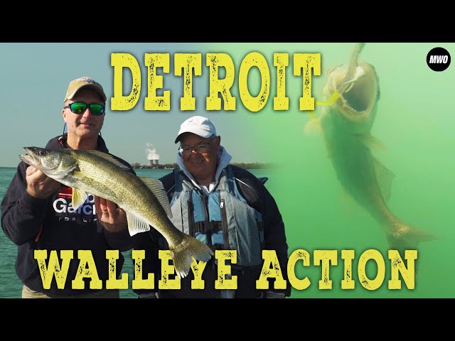 WE CRUSHED THEM! Spring Walleye on the Detroit River