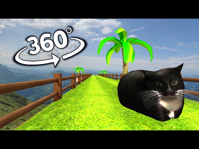 Maxwell The Cat but it's 360 degree video #2