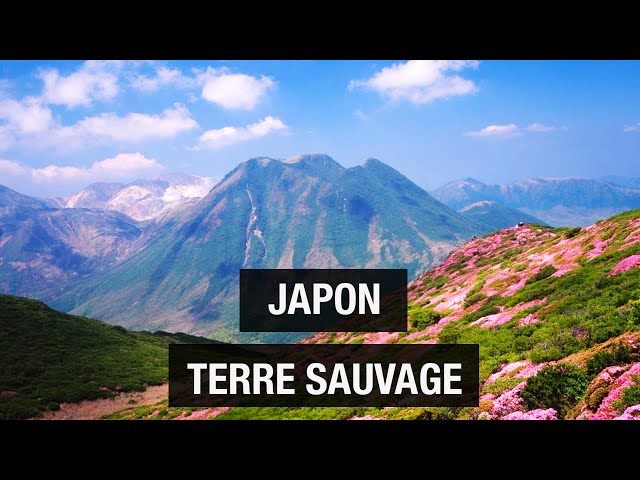 Kyushu, ancestral Japan - Land of Contrasts - Paradise island - Travel documentary - AMP