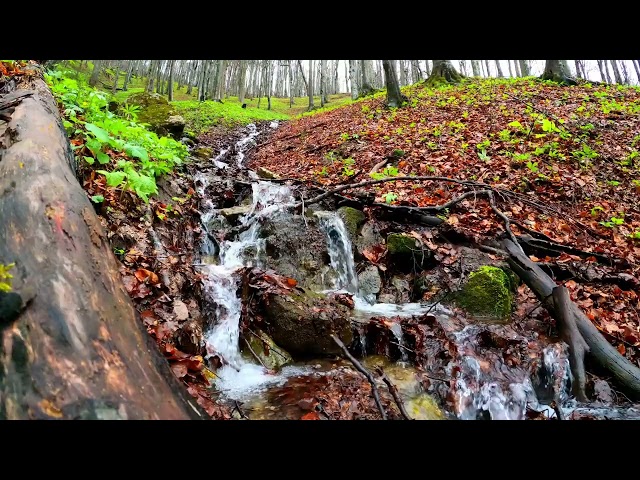 Six minute Soothing Music with Nature Scene Waterfalls and Rivers for Meditation and Deep Relaxation