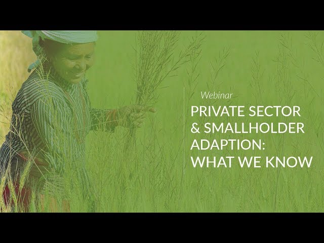 Webinar: Private Sector & Smallholder Adaptation, What We Know