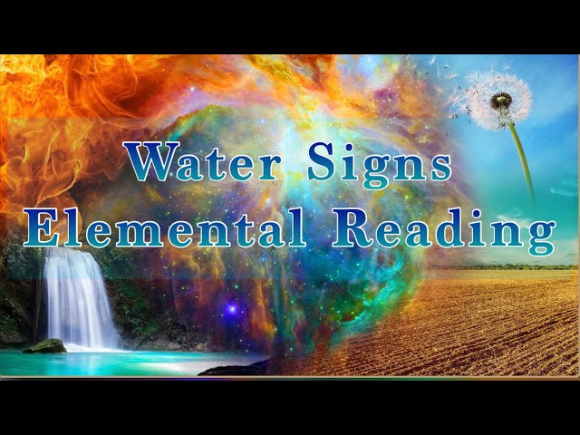 Elemental Reading🧿: Water Signs 🌊: You’re Tending to business but they want your attention 😌